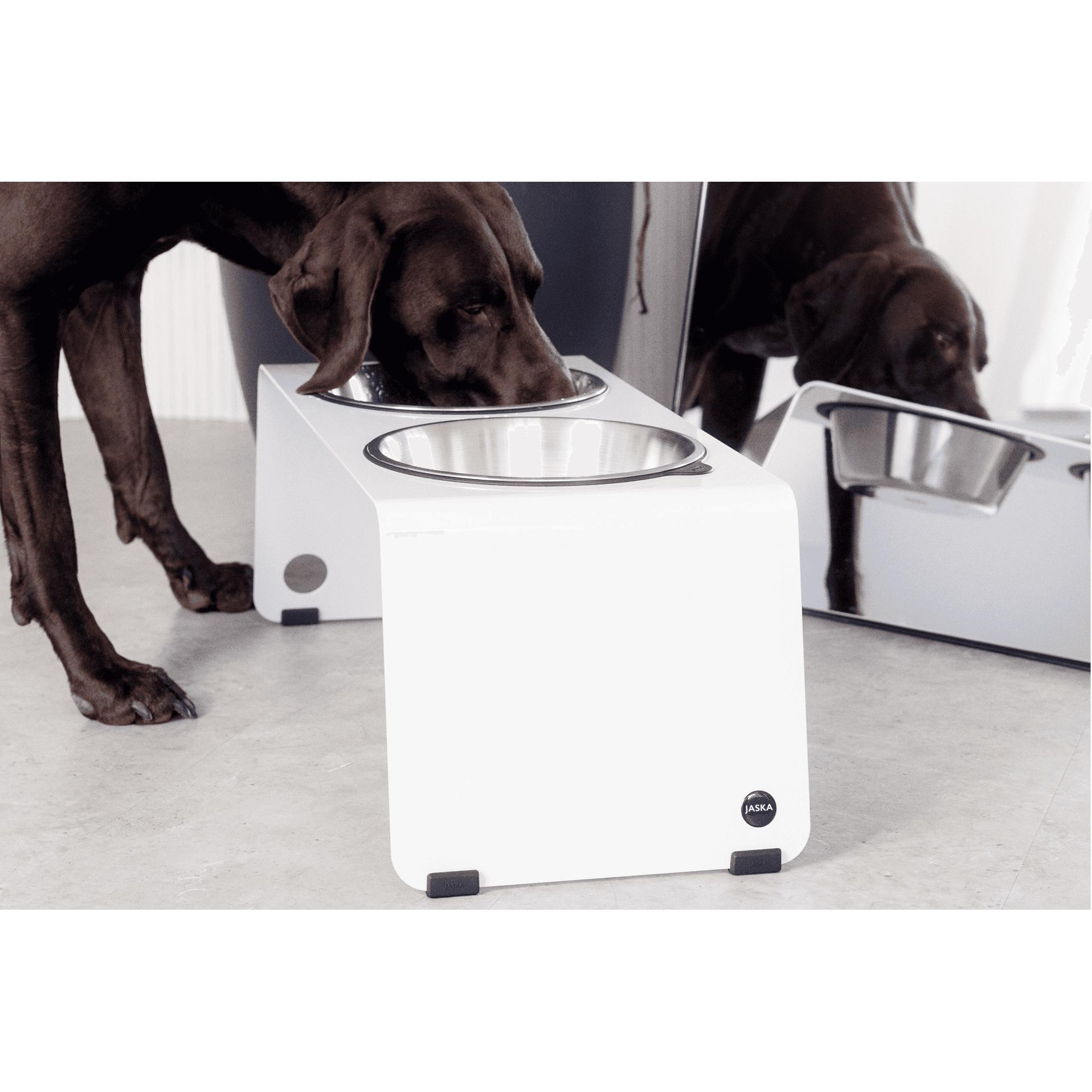 Artikel mit dem Namen Jaska Hundebar ARC XL im Shop von zoo.de , dem Onlineshop für nachhaltiges Hundefutter und Katzenfutter.