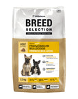 Wildsterne Breed French Bulldog