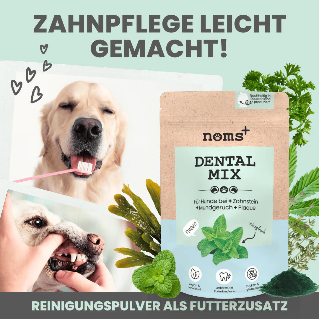 Artikel mit dem Namen Noms+ Dental-Pulver im Shop von zoo.de , dem Onlineshop für nachhaltiges Hundefutter und Katzenfutter.