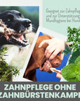 Artikel mit dem Namen Noms+ Dental-Pulver im Shop von zoo.de , dem Onlineshop für nachhaltiges Hundefutter und Katzenfutter.