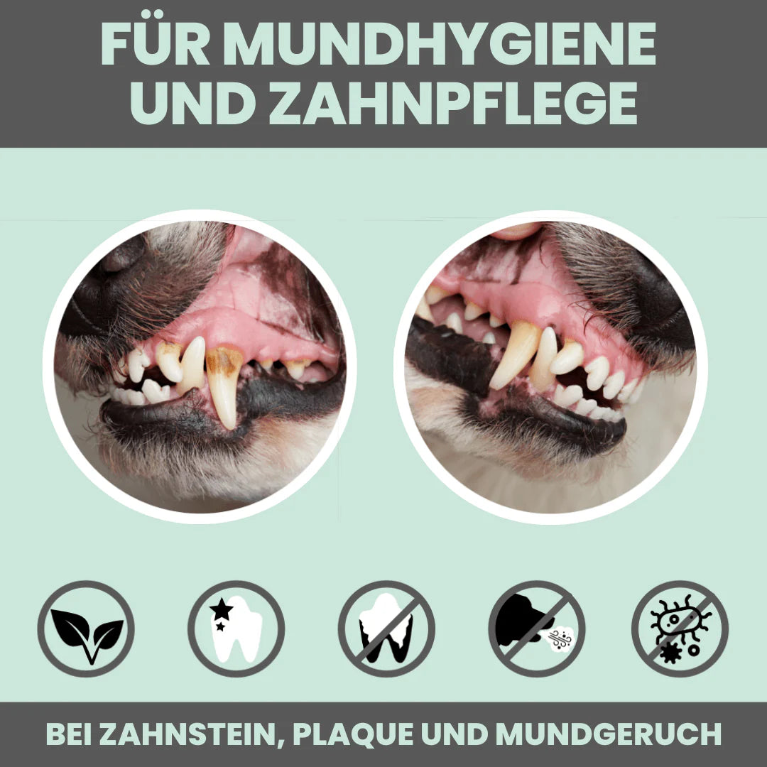 Artikel mit dem Namen Noms+ Dental-Pulver im Shop von zoo.de , dem Onlineshop für nachhaltiges Hundefutter und Katzenfutter.