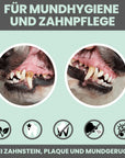 Artikel mit dem Namen Noms+ Dental-Pulver im Shop von zoo.de , dem Onlineshop für nachhaltiges Hundefutter und Katzenfutter.