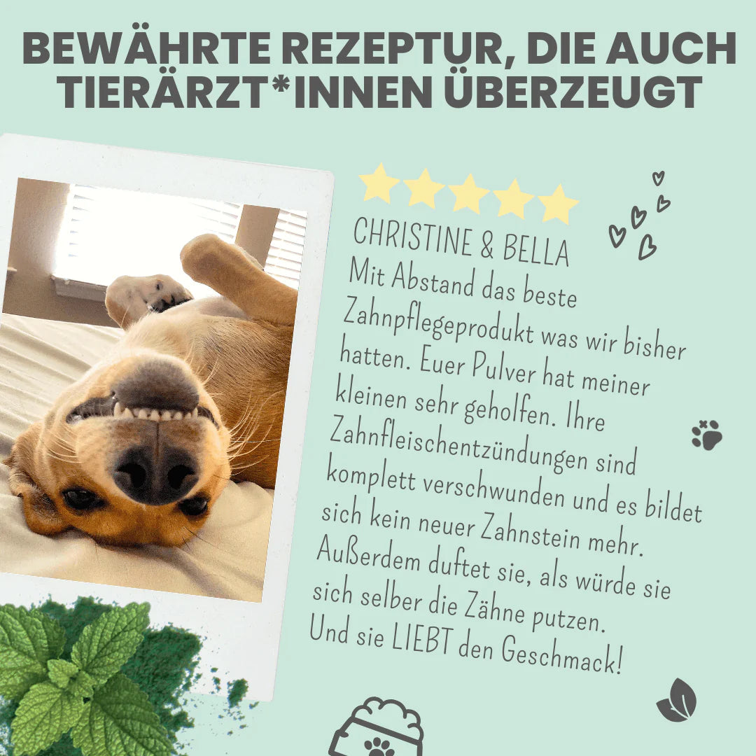 Artikel mit dem Namen Noms+ Dental-Pulver im Shop von zoo.de , dem Onlineshop für nachhaltiges Hundefutter und Katzenfutter.