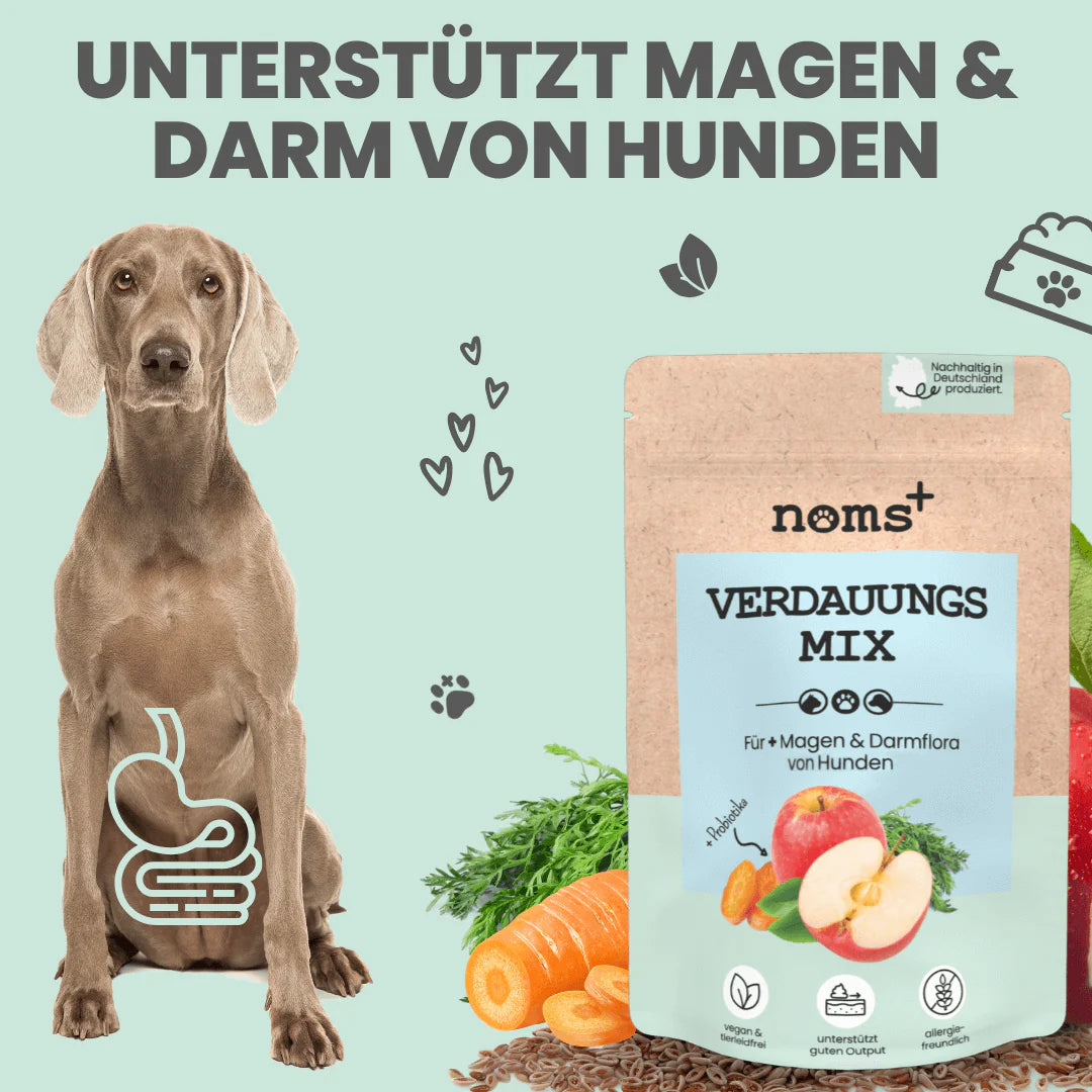 Artikel mit dem Namen Noms+ Verdauungsmix-Pulver im Shop von zoo.de , dem Onlineshop für nachhaltiges Hundefutter und Katzenfutter.