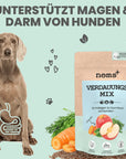 Artikel mit dem Namen Noms+ Verdauungsmix-Pulver im Shop von zoo.de , dem Onlineshop für nachhaltiges Hundefutter und Katzenfutter.