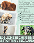 Artikel mit dem Namen Noms+ Verdauungsmix-Pulver im Shop von zoo.de , dem Onlineshop für nachhaltiges Hundefutter und Katzenfutter.