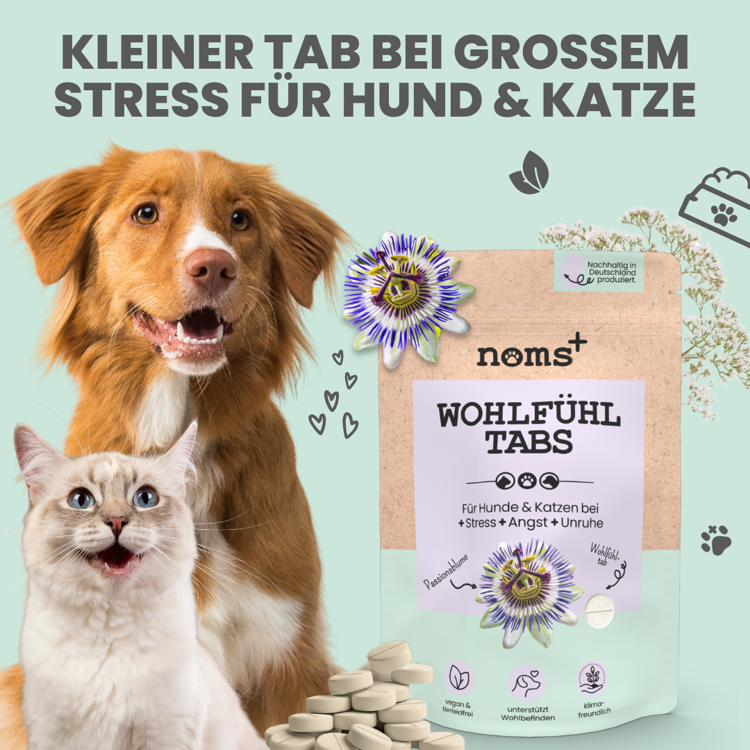 Artikel mit dem Namen Noms+ Wohlfühl Tabs im Shop von zoo.de , dem Onlineshop für nachhaltiges Hundefutter und Katzenfutter.