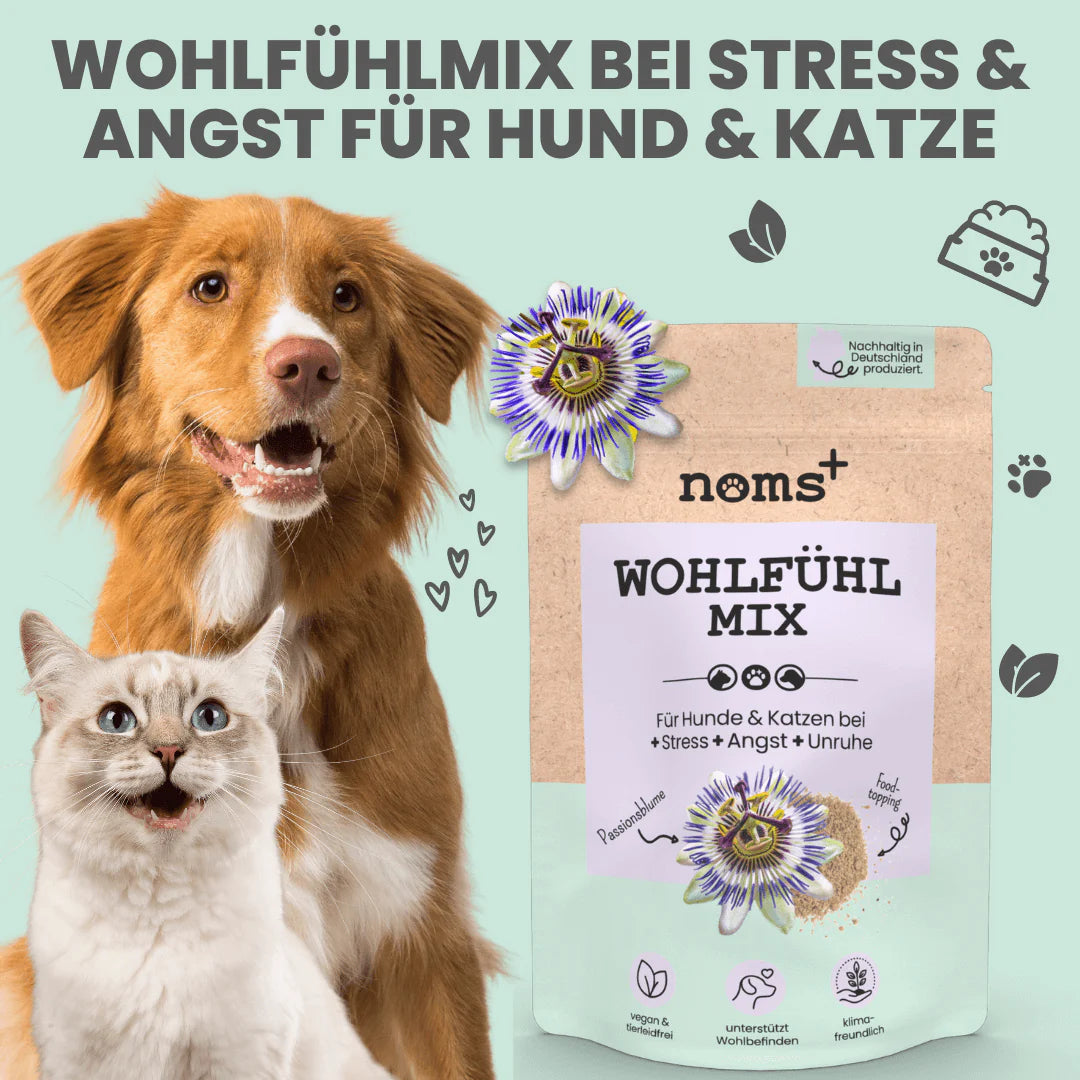 Artikel mit dem Namen Noms+ Wohlfühlmix-Pulver im Shop von zoo.de , dem Onlineshop für nachhaltiges Hundefutter und Katzenfutter.