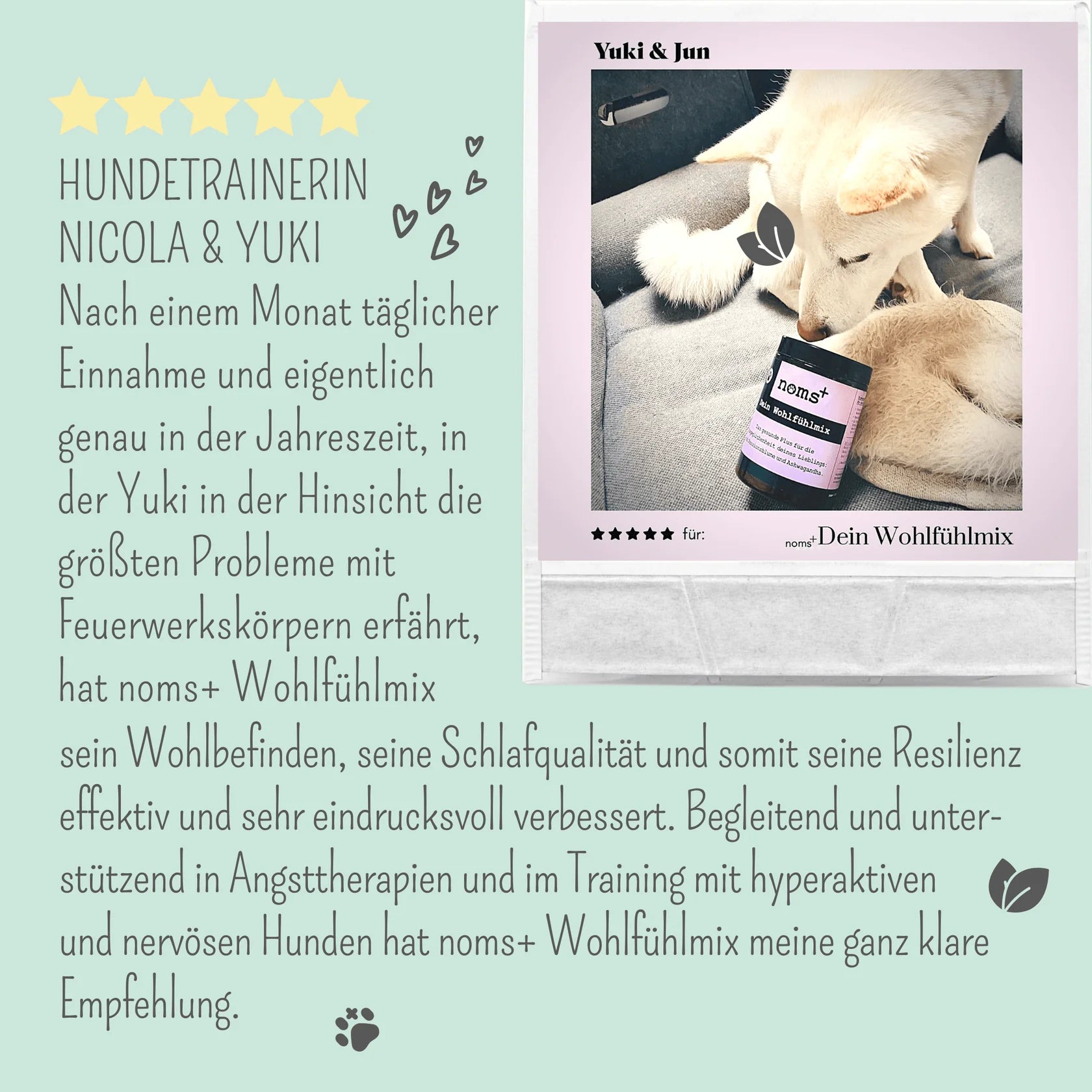 Artikel mit dem Namen Noms+ Wohlfühlmix-Pulver im Shop von zoo.de , dem Onlineshop für nachhaltiges Hundefutter und Katzenfutter.