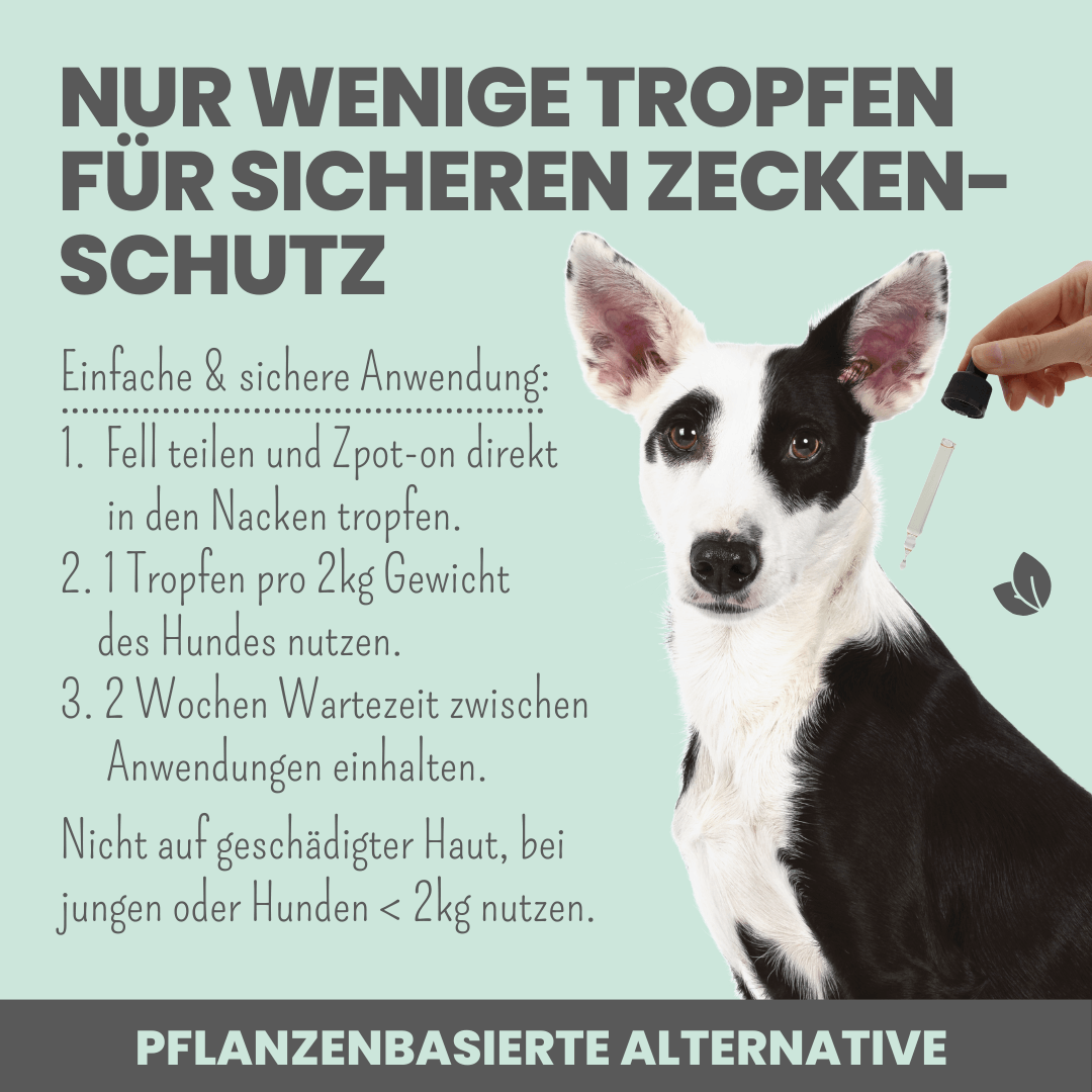 Artikel mit dem Namen Noms+ Zpot-on für Hunde im Shop von zoo.de , dem Onlineshop für nachhaltiges Hundefutter und Katzenfutter.