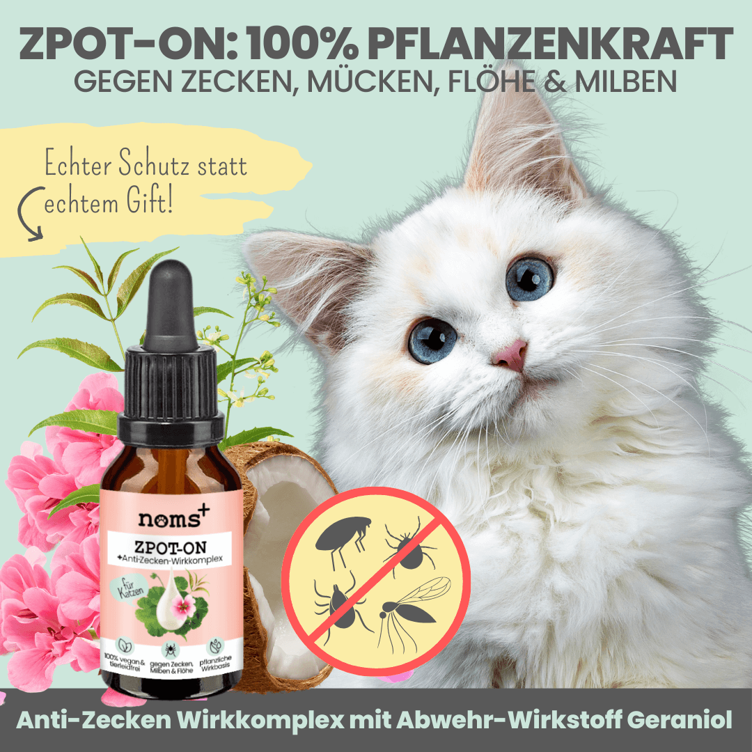 Artikel mit dem Namen Noms+ Zpot-on für Katzen gegen Zecken, Flöhe, Milben & Mücken im Shop von zoo.de , dem Onlineshop für nachhaltiges Hundefutter und Katzenfutter.