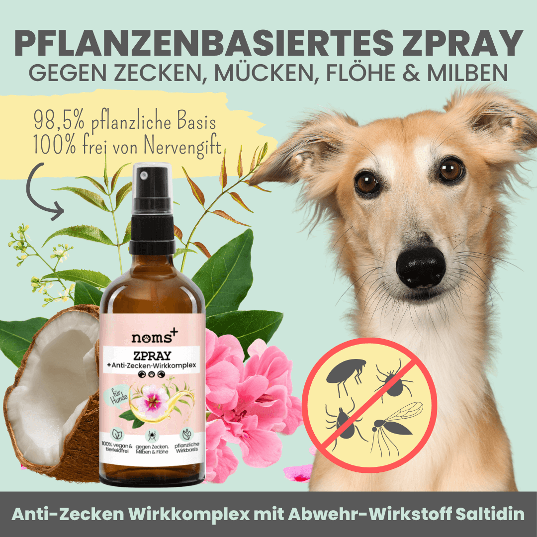 Artikel mit dem Namen Noms+ Zpray für Hunde gegen Zecken, Flöhe, Milben & Mücken im Shop von zoo.de , dem Onlineshop für nachhaltiges Hundefutter und Katzenfutter.