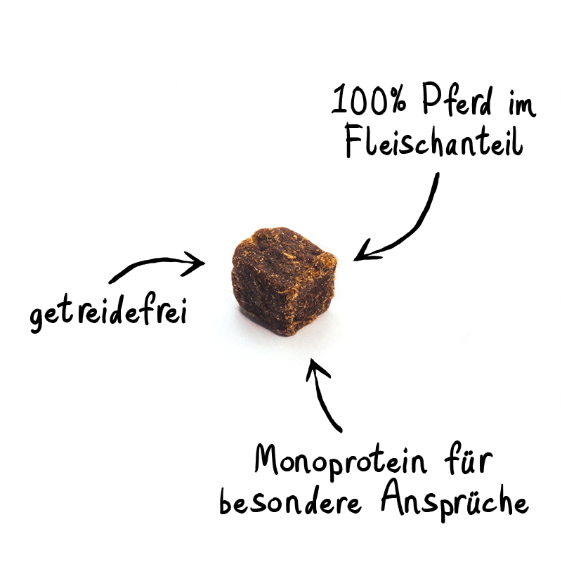 Artikel mit dem Namen NutriQM Hund Exklusiv Protein Pferd im Shop von zoo.de , dem Onlineshop für nachhaltiges Hundefutter und Katzenfutter.