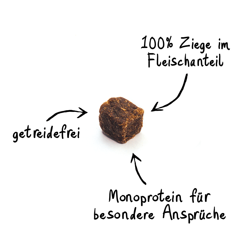 Artikel mit dem Namen NutriQM Hund Exklusiv Protein Ziege im Shop von zoo.de , dem Onlineshop für nachhaltiges Hundefutter und Katzenfutter.