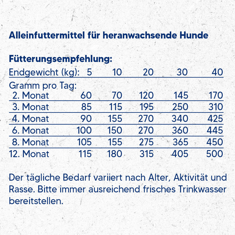 Artikel mit dem Namen NutriQM Hund M!eat Junior im Shop von zoo.de , dem Onlineshop für nachhaltiges Hundefutter und Katzenfutter.