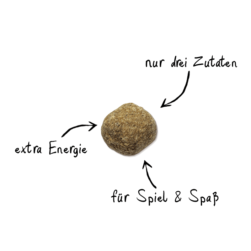 Artikel mit dem Namen NutriQM Hund Protein Roller Pferd & Vollei im Shop von zoo.de , dem Onlineshop für nachhaltiges Hundefutter und Katzenfutter.