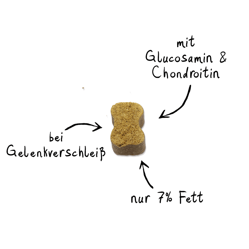 Artikel mit dem Namen NutriQM Hund Snack Gelenk Plus Chondroitin Glucosamin im Shop von zoo.de , dem Onlineshop für nachhaltiges Hundefutter und Katzenfutter.