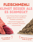 Edgard Cooper Hund Frisches Huhn & Lachs M Senior