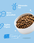 Edgard Cooper Hund Frischer Lachs L