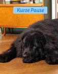 Edgard Cooper Hund Frischer Lachs L