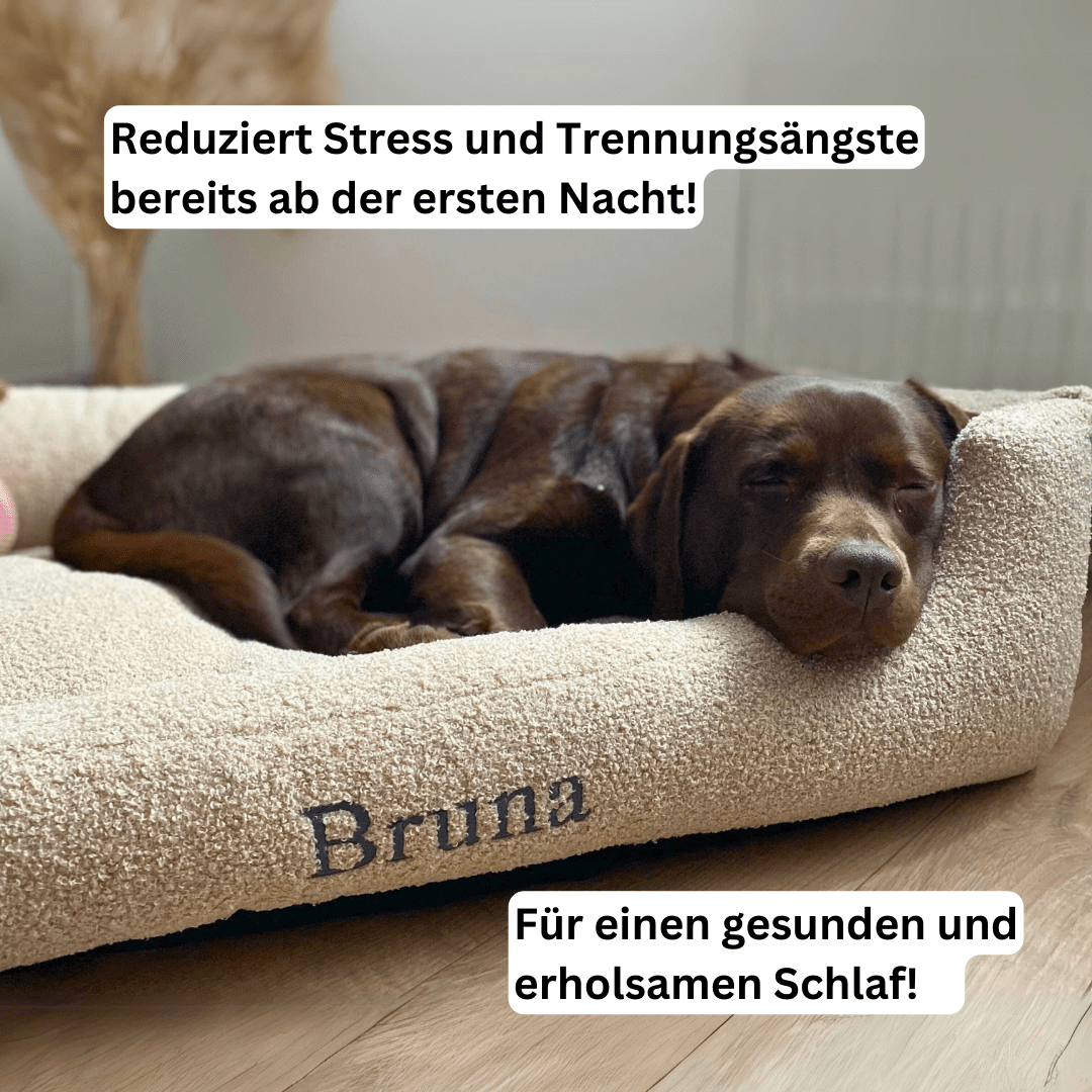 Artikel mit dem Namen Personalisierbares Hundebett orthopädisch (Beige) im Shop von zoo.de , dem Onlineshop für nachhaltiges Hundefutter und Katzenfutter.