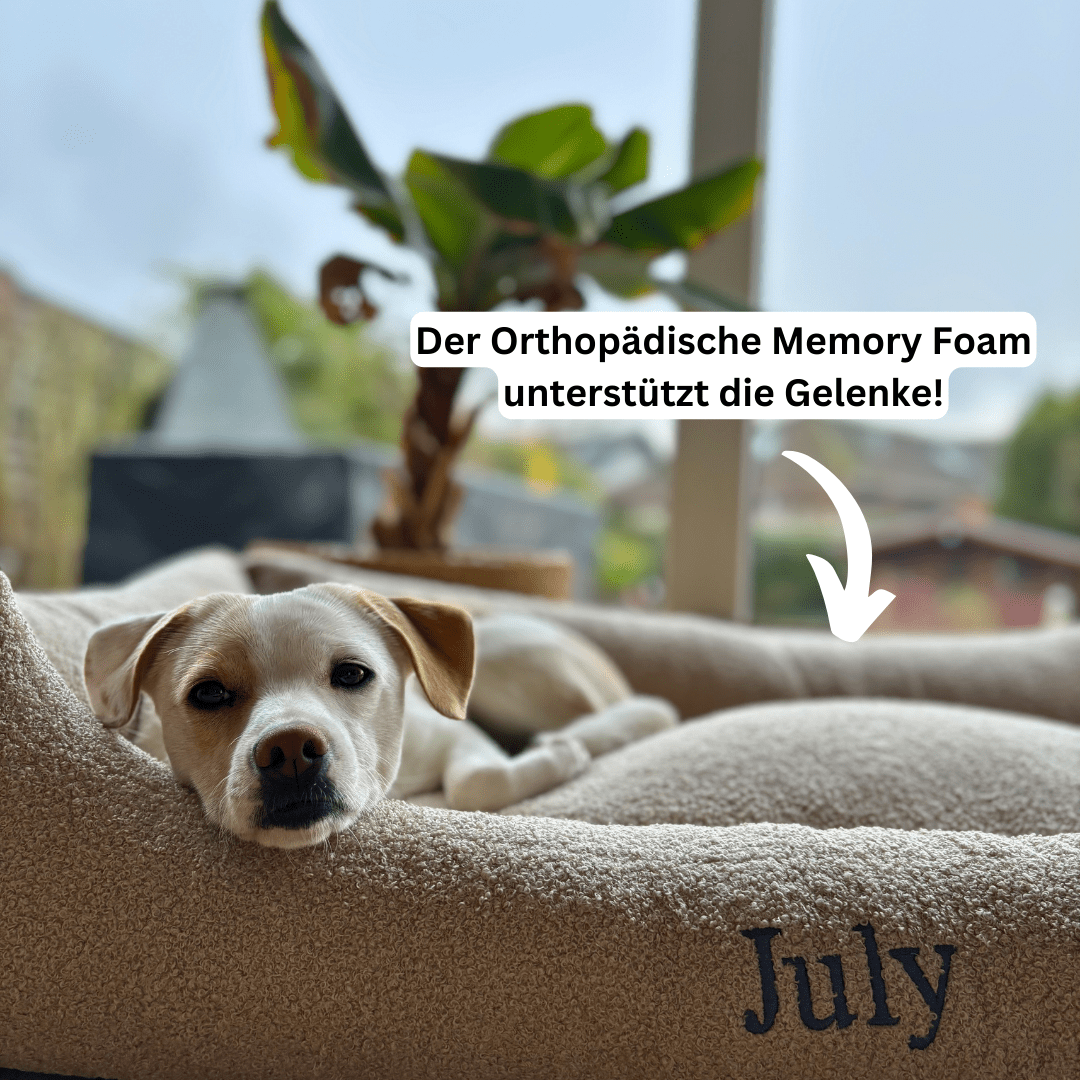 Artikel mit dem Namen Personalisierbares Hundebett orthopädisch (Beige) im Shop von zoo.de , dem Onlineshop für nachhaltiges Hundefutter und Katzenfutter.