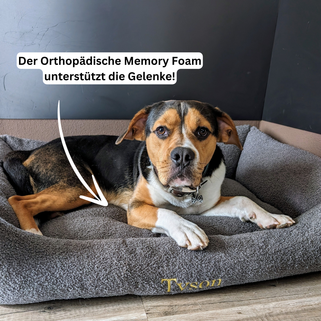 Artikel mit dem Namen Personalisierbares Hundebett orthopädisch (Grau) im Shop von zoo.de , dem Onlineshop für nachhaltiges Hundefutter und Katzenfutter.