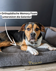 Artikel mit dem Namen Personalisierbares Hundebett orthopädisch (Grau) im Shop von zoo.de , dem Onlineshop für nachhaltiges Hundefutter und Katzenfutter.