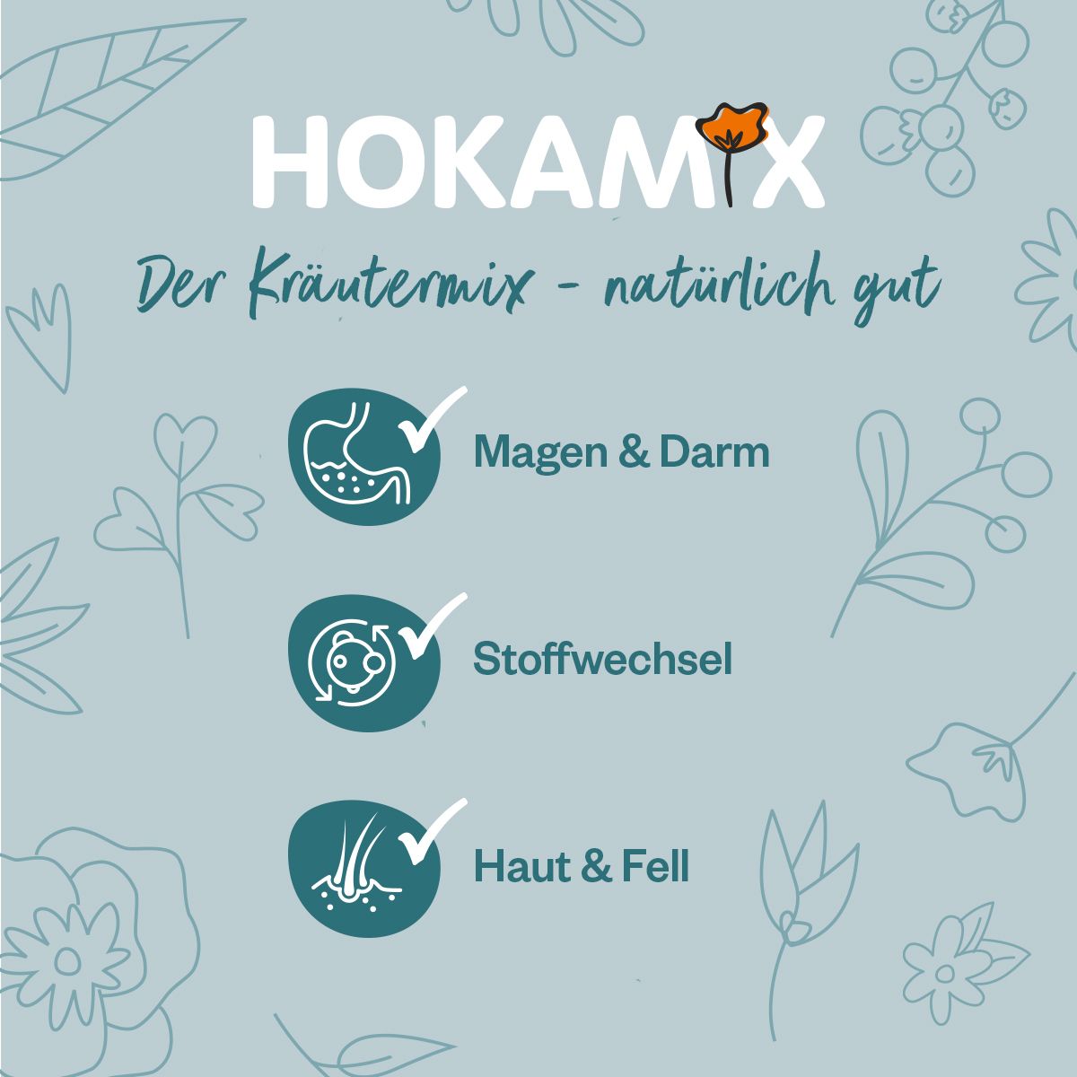 Hokamix Vitality Booster
