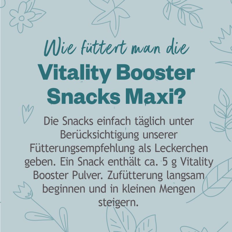 Hokamix Vitality Booster Snack Maxi