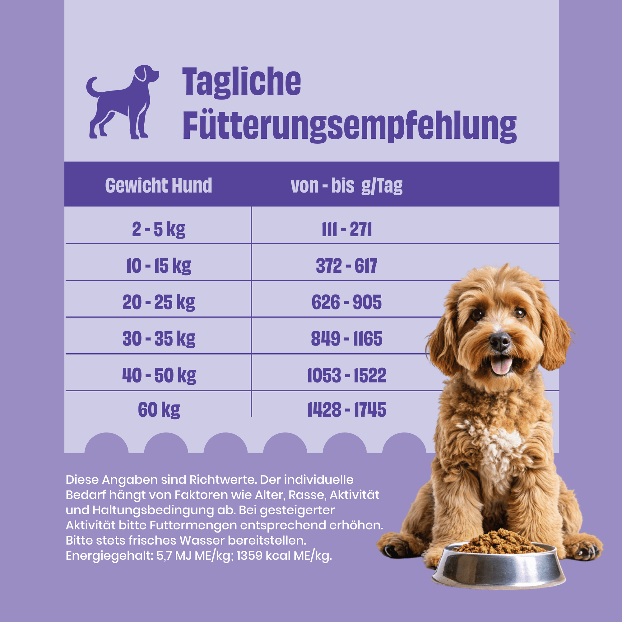 FAiRFRESH saftiges FAiRsprechen Rind mit Quinoa zoo-de