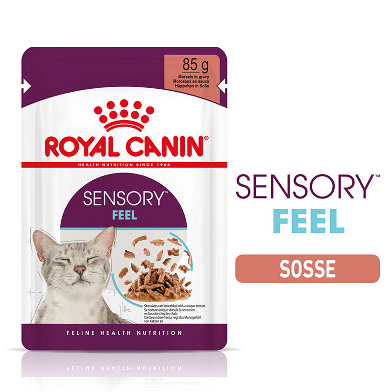 Royal Canin Katze Feline Health Nutrition Sensory Feel Gravy FB, 12 x 85 g