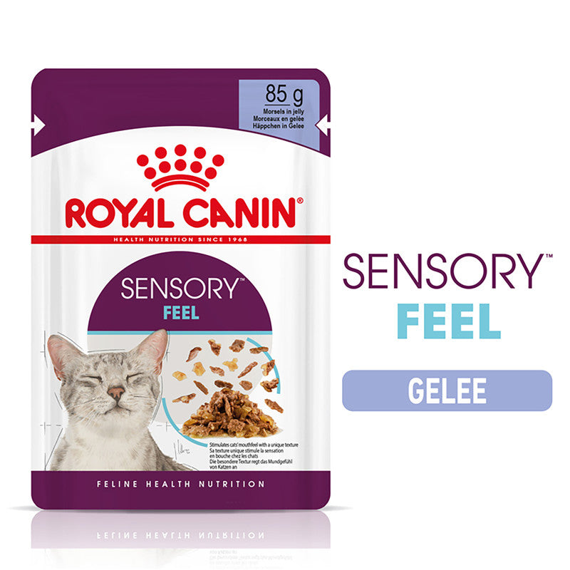 Royal Canin Katze Feline Health Nutrition Sensory Feel Jelly FB, 12 x 85 g