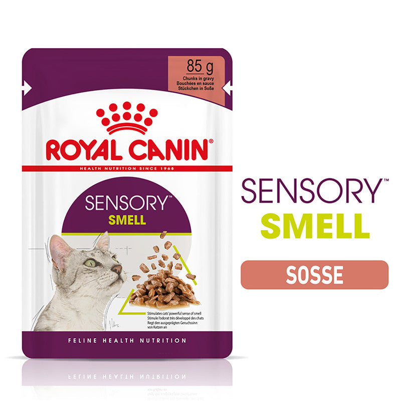 Royal Canin Katze Feline Health Nutrition Sensory Smell Gravy FB, 12 x 85 g