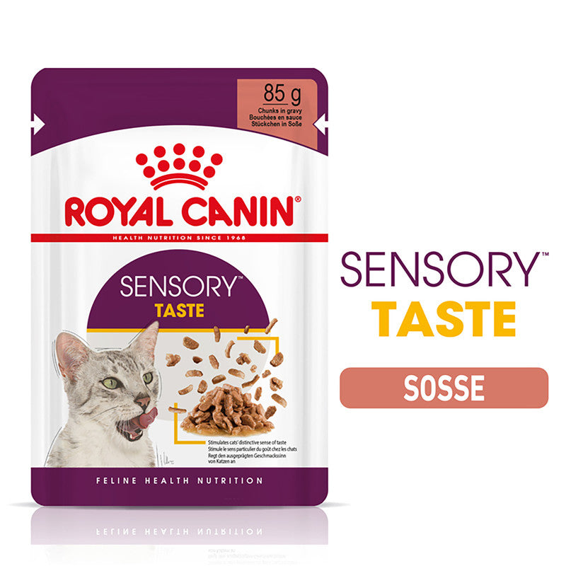 Royal Canin Katze Feline Health Nutrition Sensory Taste Gravy FB, 12 x 85 g