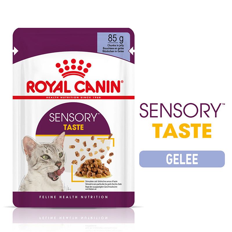 Royal Canin Katze Feline Health Nutrition Sensory Taste Jelly FB, 12 x 85 g