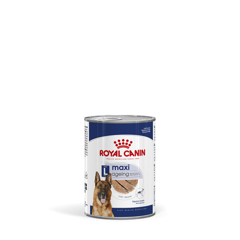 Royal Canin Hund MAXI Ageing Feuchtnahrung als Mousse (>5. Lebensjahr), 12 x 410 g