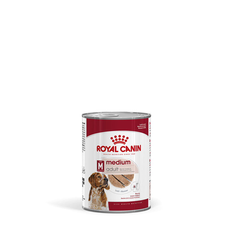 Royal Canin Hund MEDIUM Adult Feuchtnahrung als Mousse (>12. Lebensmonat), 12 x 410 g