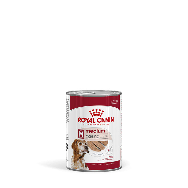 Royal Canin Hund MEDIUM Ageing Feuchtnahrung als Mousse (>7. Lebensjahr), 12 x 410 g
