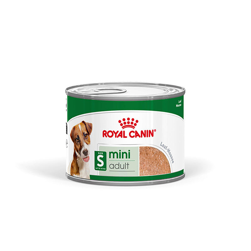 Royal Canin Hund MINI Adult Feuchtnahrung als Mousse (>10. Lebensmonat), 12 x 195 g