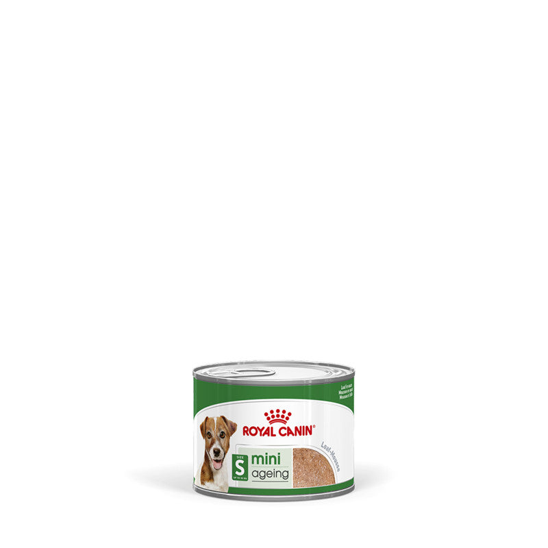 Royal Canin Hund MINI Ageing Feuchtnahrung als Mousse (>8. Lebensjahr), 12 x 195 g
