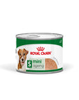 Royal Canin Hund MINI Ageing Feuchtnahrung als Mousse (>8. Lebensjahr)