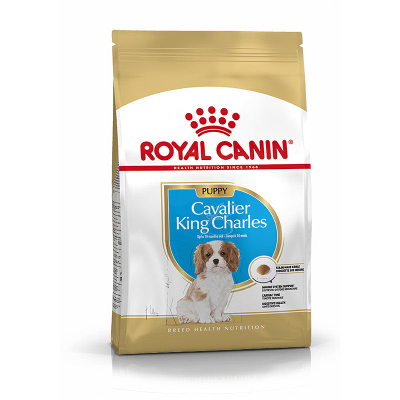 Royal Canin Hund Breed Health Nutrition Cavalier King Charles Junior, 1.5 kg