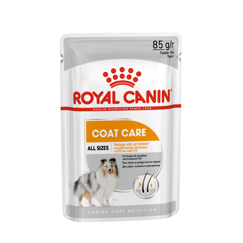 Royal Canin Hund Care Nutrition Coat Care All Sizes, 12 x 85 g