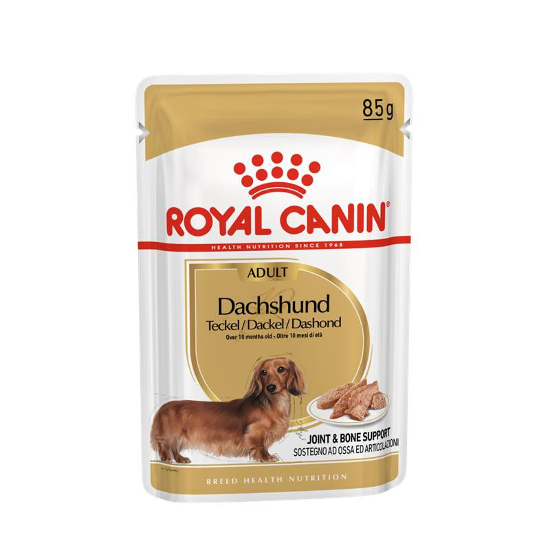 Royal Canin Hund Breed Health Nutrition Dachshund Adult Frischebeutel, 12 x 85 g