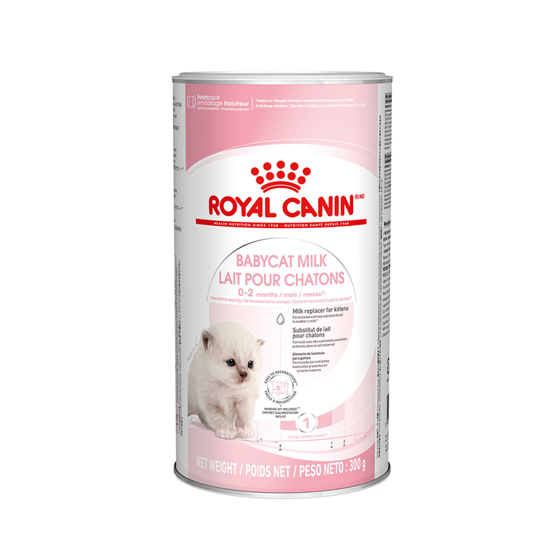Royal Canin Katze Feline Health Nutrition Babycat Milk, 300 g