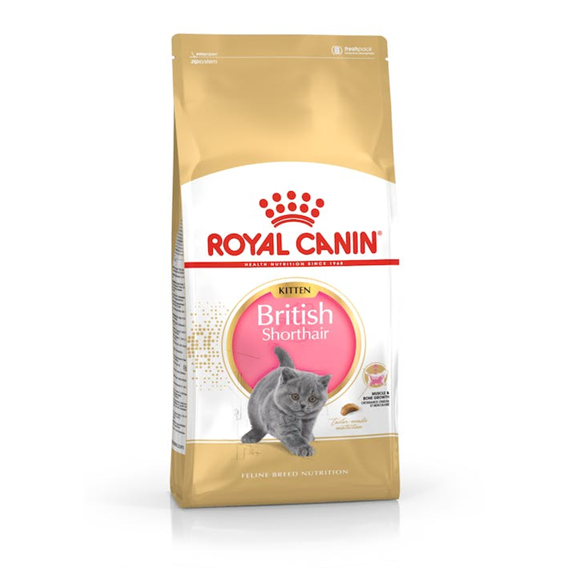 Royal Canin Katze Feline Breed Nutrition British Shorthair Kitten, 400 g