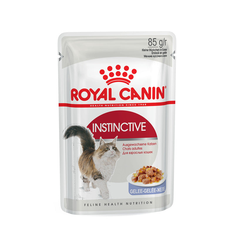 Royal Canin Katze Feline Health Nutrition Instinctive in Gelee Frischebeutel, 12 x 85 g