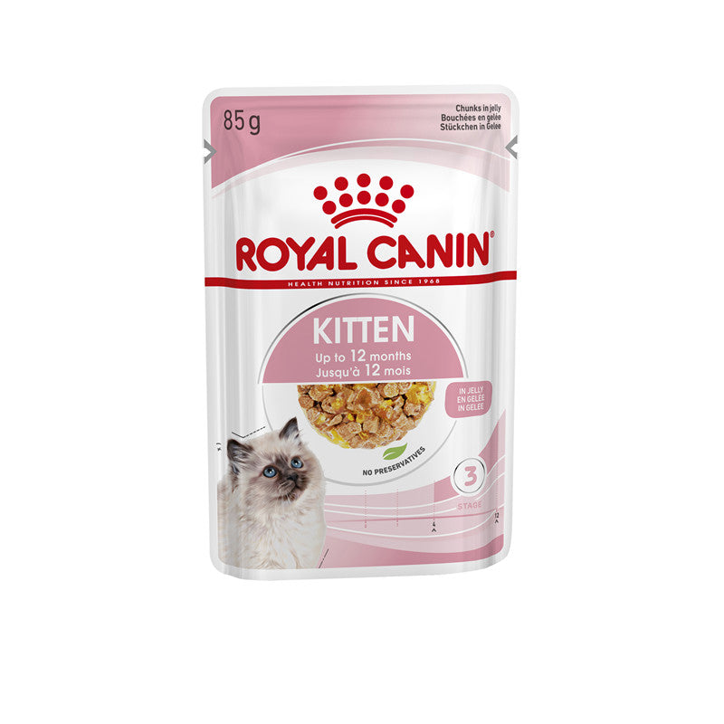 Royal Canin Katze Feline Health Nutrition Kitten in Gelee Frischebeutel, 12 x 85 g