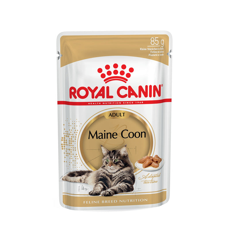 Royal Canin Katze Feline Breed Health Nutrition Maine Coon, 12 x 85 g